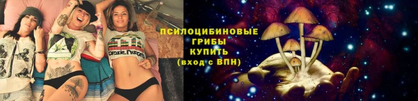 apvp Новодвинск