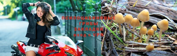 мет Новозыбков