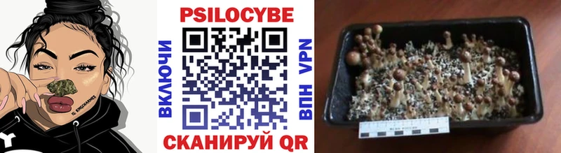 Купить закладки  Ялуторовск  Галлюциногенные грибы Magic Shrooms 